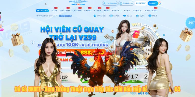 Đá Gà 8KBET – Xem Tường Thuật Trực Tiếp Các Giải Đấu Hấp Dẫn C1, C2, C3, C4